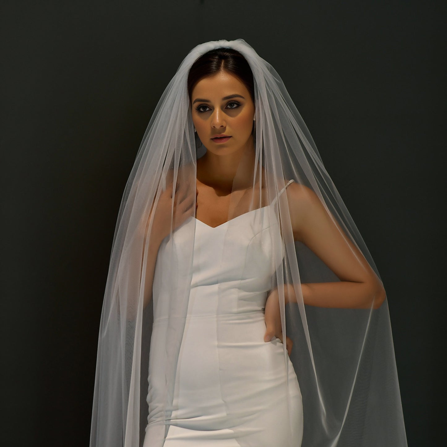 BRIDELLA BM92 Cathedral Length Wedding Bridal Veil Elegant Long Plain Wedding Veil With Comb