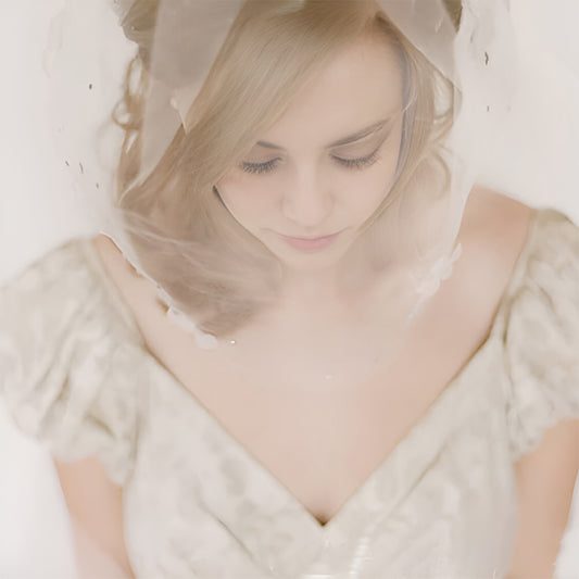 Pearl Birdcage Bridal Veil Wedding Hair Comb Veil - Bridella BMA20