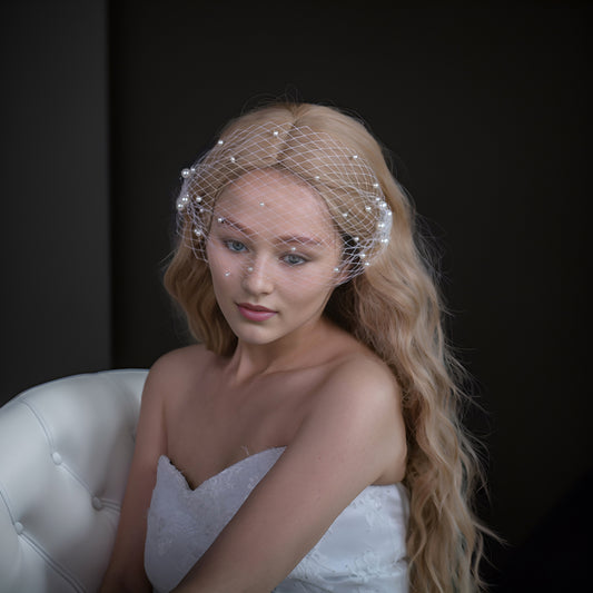 BRIDELLA BVA05 Vintage Bridal Cage Fishnet Veil with Two Combs Prom Party Hair Accessories