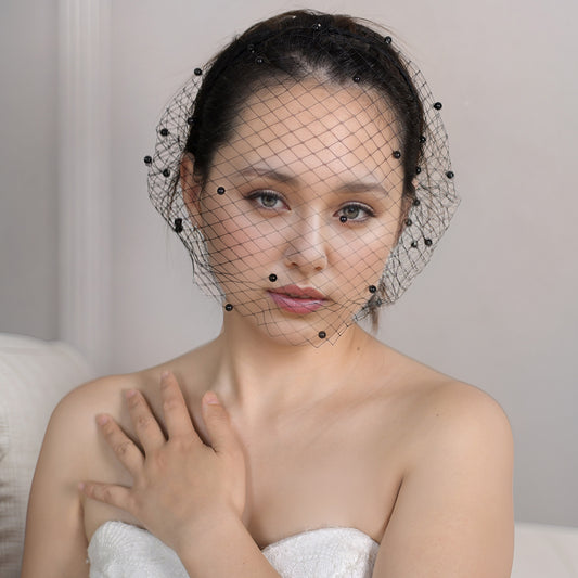 white white pearl mesh birdcage veil