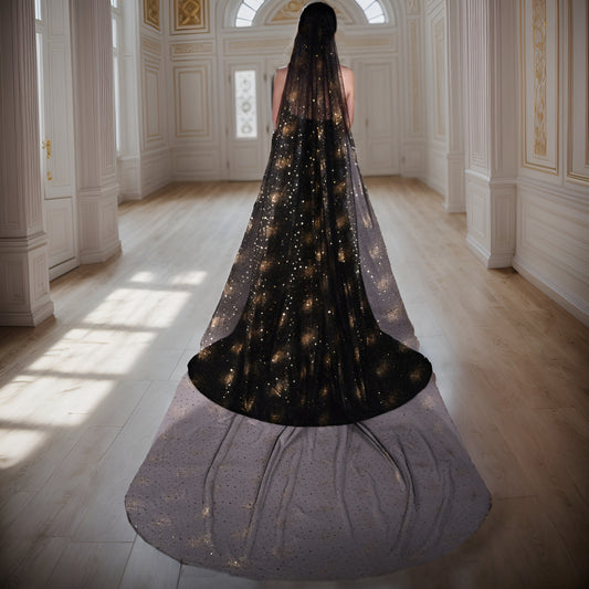 V220-Y3 black mesh veil