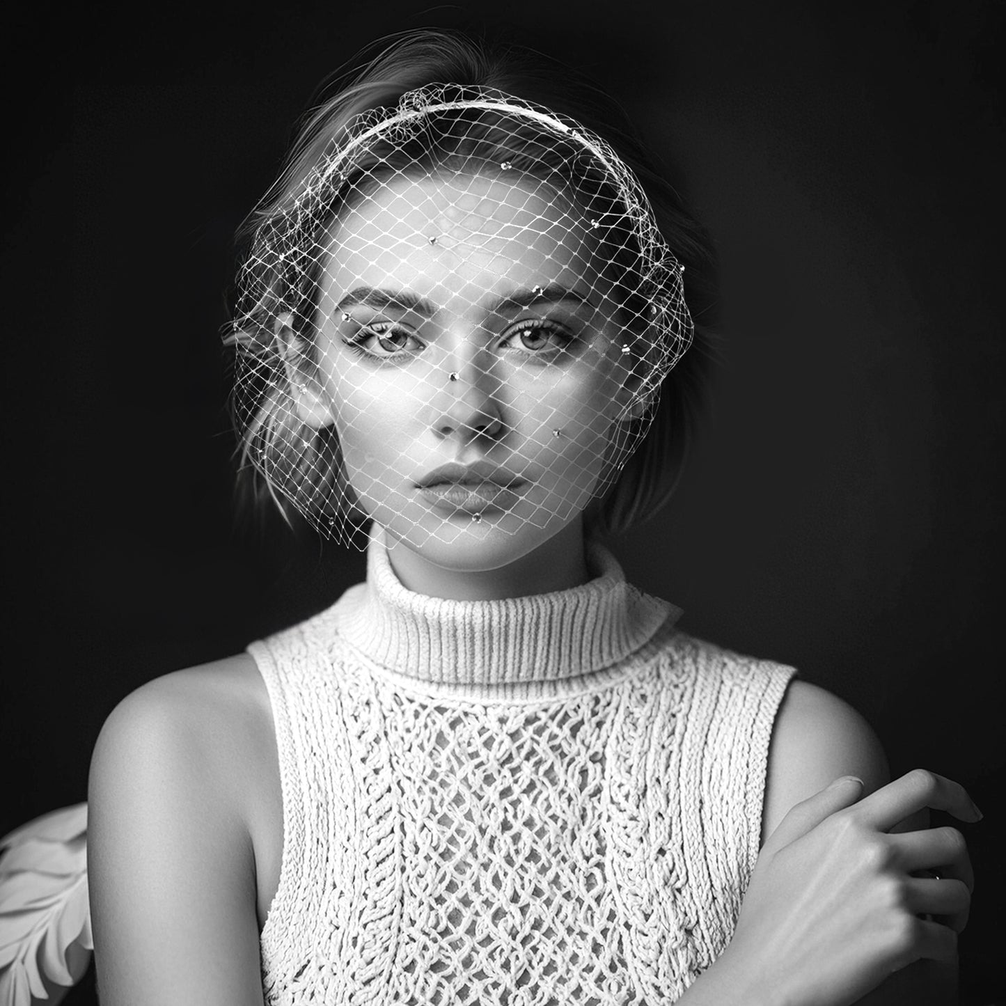 Rhinestone Birdcage Bridal Veil Wedding Headband Veil - Bridella BMA16-W