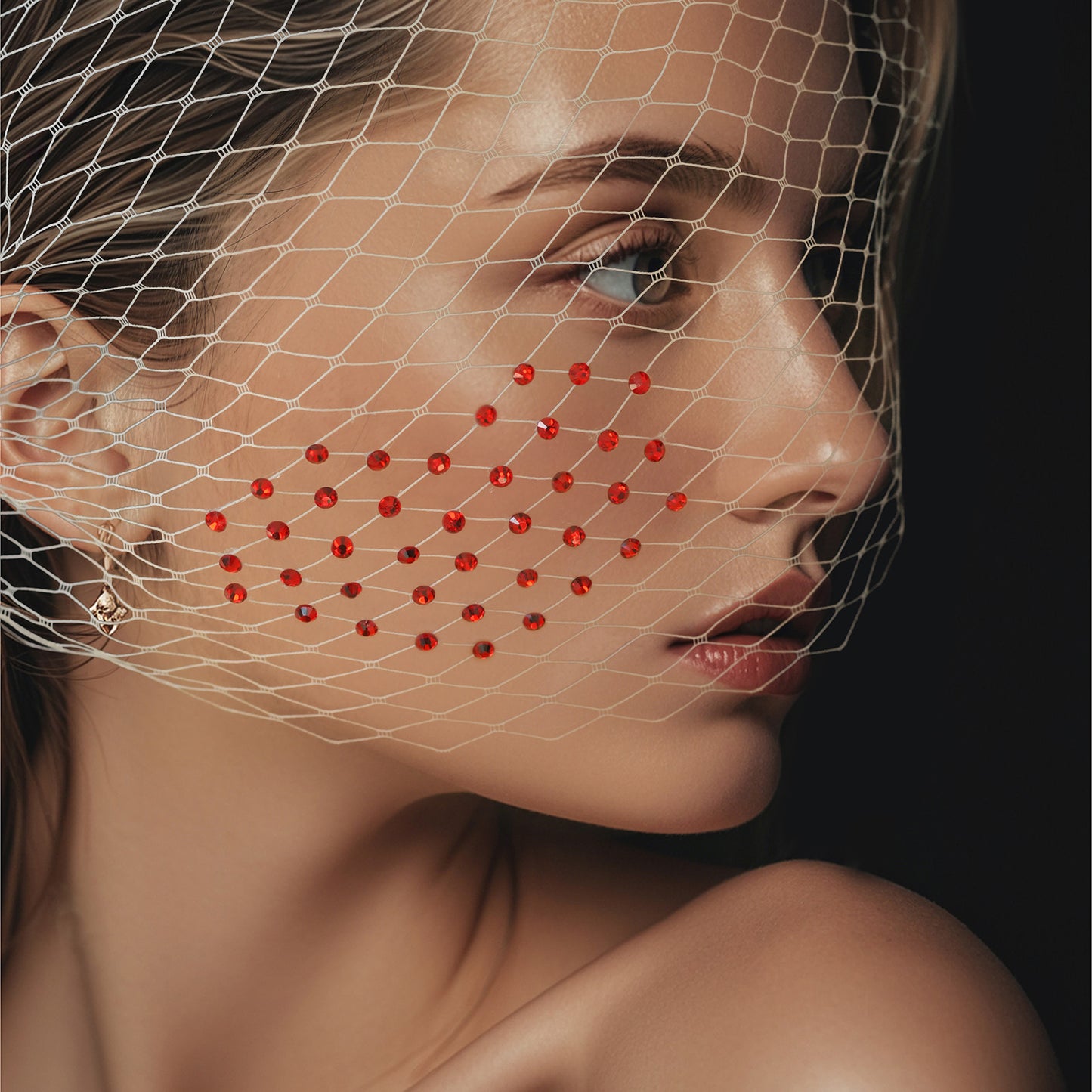 Red Rhinestone Birdcage Bridal Veil Wedding Veil - Bridella BMA39